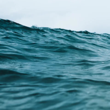 close shot of the ocean